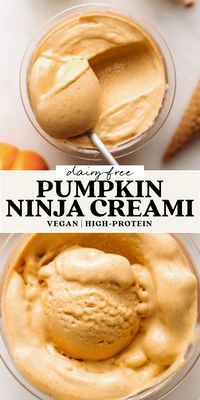 Dairy Free Ninja Creami Pumpkin Ice Cream | Feasting on Fruit