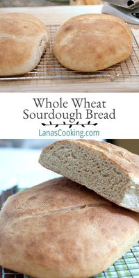 Step-by-step recipe for Whole Wheat Sourdough Bread along with instructions for making a sourdough starter with wild yeast. From @NevrEnoughThyme https://www.lanascooking.com/whole-wheat-sourdough-bread/