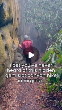 Linzey| Southeast Travel | Hiking | Outdoors on Instagram: "Did you know that you can hike a slot canyon on the east coast ?!🤯⬇️⬇️

📌Save this post for your next trip and share it with your hiking buddy! 

📍The Great Channels, Virginia 

🥾6.2 miles, rated as moderate on AllTrails. It is a steady incline the entire way to the channels with a total of 1300 feet of elevation gain.

🚘Located approximately 30 minutes from Abingdon.
🚘1:45 from Asheville, NC
🚘3 hours from Greenville, SC
🚘3 hours from Charlotte, NC

⚠️The parking lot is small and only has 10 spaces and you will be towed if you park in the road so plan to get here early.

Please be respectful and follow @leavenotraceorg 
Don’t mark on the rocks, pack out your trash, and don’t step off the trail.

Follow @anxiousmissadventur