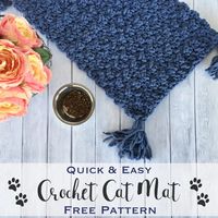 Quick & Easy Crochet Cat Mat Pattern - Cute As A Button Crochet & Craft