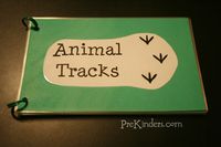 animal tracks science center, forest animals theme. free printable from Montessori for everyone.