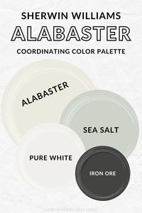 Sherwin Williams Alabaster: The Perfect Paint for Any Home