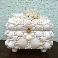 Stunning she'll jewellery box.