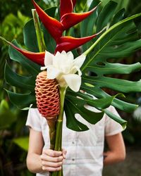 Heliconia, white torch ginger, beehive ginger, and monstera