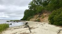 Hike to Fossil Beach at York River State Park in Williamsburg