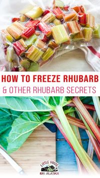 Do we really need a post on something as simple as how to freeze rhubarb? I know this sounds like a NO brainer kind of post but you wouldn’t believe HOW many questions I get about rhubarb! I wrote up a little post about it because I just think everyone needs to appreciate the free and easy growing rhubarb plants on their property. | @LttlHouseBigAK #howtocookwithrhubarb #whatisrhubarb #cookingwithrhubarb