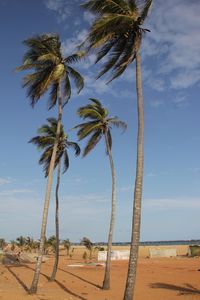 Beach, Lomé, Togo, West Africa