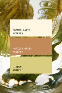 natural color palette: beige, brown, green