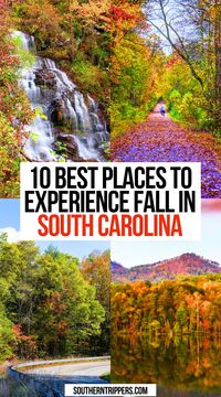 10 Best Places to Experience Fall in South Carolina | south carolina in the fall | south carolina fall vacation | south carolina fall foliage | charleston south carolina fall | hilton head island south carolina fall | greenville south carolina fall | south carolina fall travel | #fall #southcarolina #usa #travel