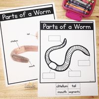 Try These Free Earthworm Activities with Your Class Today! - Natalie Lynn Kindergarten