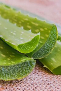 We asked experts everything you need to know about aloe vera for face, including aloe vera benefits for skin and how to use aloe vera on face. #skincare #face #gel #aloevera