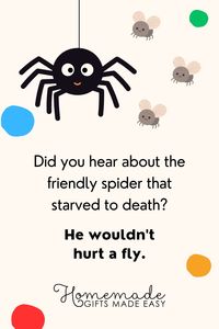 70 Best Spider Puns and Jokes for Kids