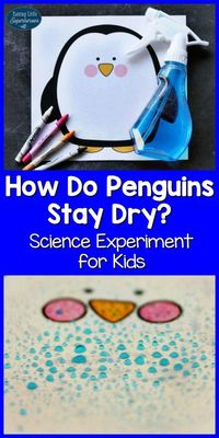 Penguin Feathers Science Experiment, Science Experiment for Kids, Penguin Science Experiment, How Do Penguins Stay Dry, Learning Resources, Learning Activities, Science Activities