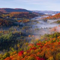 🍂 Admirez les paysages majestueux pendant la saison des couleurs!   Les Laurentides se parent de teintes éclatantes, une expérience à ne pas manquer.    Pour vivre cette magie, réservez votre séjour chez LAKFRONT Rentals et profitez d'une escapade inoubliable en pleine nature! ���🏞️  #Laurentides #Automne #Chertsey #SainteMargueriteduLacMasson