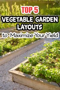 The Top 5 Vegetable Garden Layouts to Maximize Your Yield – Backyard Vegetable Gardener