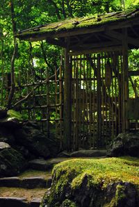 高山寺