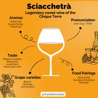 A comprehensive guide to Sciacchetrà: legendary sweet wine of the Cinque Terre.