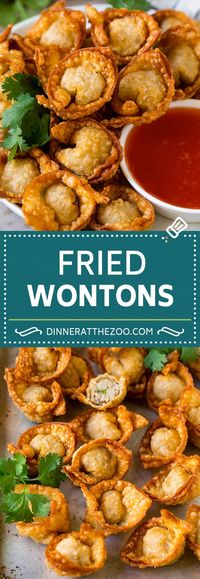 Fried Wonton Recipe