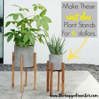 west elm inspired diy plant stands, diy, gardening, how to, woodworking projects