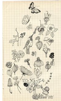 Easy to draw flowers and bird | perfect doodles for your bullet journal, planner or sketchbook. #ihavethisthingwithbujo #bulletjournal