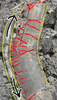 This is typical of the folding of relatively competent layers – outer arc extension is accommodated partially by cracking. The cracks are subsequently filled with mineral deposits – and then they are veins.