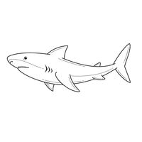 Free Vector | Hand drawn shark outline illustration