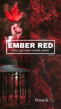 To download this preset for FREE navigate to my 'free Lightroom preset' board in my profile. #Lightroom #preset #free preset #Lightroom CC #Moodyred #adobe #editing