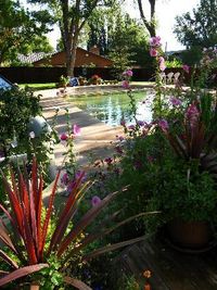 Trimble Hot Springs in Durango, Colorado. I still have yet to visit this hot spring in southern Colorado.