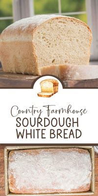 Learn the step-by-step process to create a soft, high-rising farmhouse sourdough loaf. Perfect for sandwiches or toast, this bread brings homemade goodness to your kitchen.