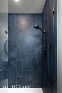 Modern-Basement-Remodel-12x24-Blue-Shower