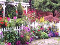 English Cottage Garden Pictures, Photos, and Images for Facebook, Tumblr, Pinterest, and Twitter