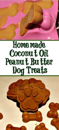 Easy Healthy Homemade Coconut Oil Peanut Butter Dog Treats are perfect to make for your dog! So easy to make and good for them as well! #dogtreats #dog