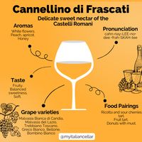 A comprehensive guide to Cannellino di Frascati: delicate sweet nectar of the Castelli Romani.