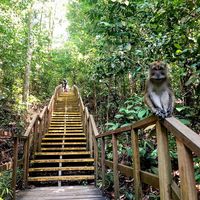 33 Likes, 1 Comments - Joel Snyder (@worldwidesnides) on Instagram: “MacRitchie Reservoir 12km”