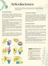 Articulaciones 1 #anatomia #articulaciones