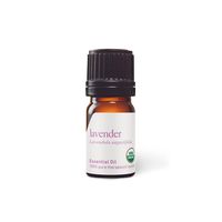 Sinus Support Inhaler - Natural Recipe | aromatics.com – Aromatics International