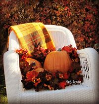 Fall in my backyard, Virginia Creeper vine in background.