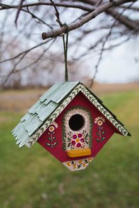 3 Bird-Friendly Garden Ideas: Bird Nesting Material Station, Natural Bird Treats, and More — Under A Tin Roof