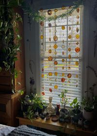 citrus garlands + plants