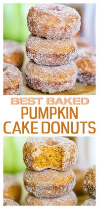 Hard to believe these super-tasty Pumpkin Cake Donuts are baked instead of fried in oil. The recipe ingredients are pretty simple to mix together & in the end you'll get moist, fluffy cake donuts that are irresistibly cinnamon pumpkin-spiced and perfect for Fall.