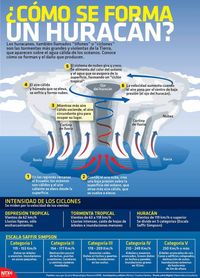 Los huracanes también llamados tifones o ciclones son las tormentas más grandes y violentas de la Tierra que aparecen sobre el agua cálida de los océanos.  Conoce cómo se forman y el daño que producen.  Candidman   #Ciencia Curiosidades Infografias Candidman Ciclones Huracanes Infografía Infografías Tifones @candidman