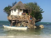 The Rock #Zanzibar