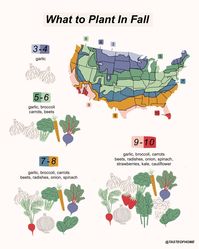 Here's When to Plant Your Fall and Winter Vegetables