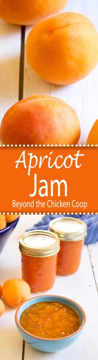 Homemade apricot jam captures the very best flavor of ripe apricots. beyondthechickencoop.com