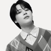 jimin dior icon