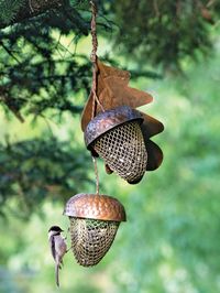 Unique Acorn Bird Feeder | Gardener’s Supply