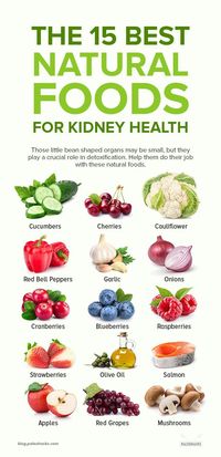 15 Best Foods To Naturally Help Your Kidneys Detox in 2022 | Kidney healthy foods, Food for kidney health, Kidney friendly foods