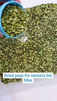  

Read & Play with this fun sensory bin for Spring! Dried peas make a great sensory bin filler. I love the addition of mini erasers from the Target Dollar Spot and Tweezers to work on fine motor skills.

