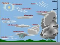 TIPOS DE NUBES⛅☁