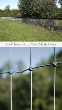 RAMM’s 2"x4" non-climb, Class 3 galvanized wire mesh is made of 12.5-gauge galvanized wire. Available in 48" or 60" high, 200' long rolls. The fencing is designed to help prevent #horses from getting their legs through the fence, as well as hinder predators from getting in. The closely spaced woven design helps prevent horses from “stepping through” or “walking down” the fence. Mesh fencing is also great if you want to contain smaller animals.